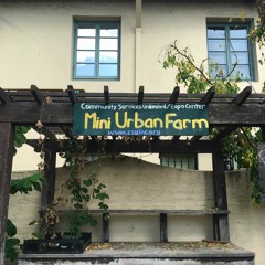Expo Mini Urban Farm