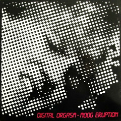 Digital Orgasm - Moog Eruption