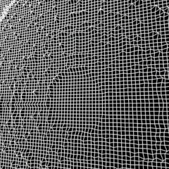 Half Life | Babak Navak & Salar Niknafs