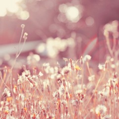 A Girl (Original Acoustic Ver.)