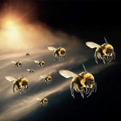 iLLer Bees
