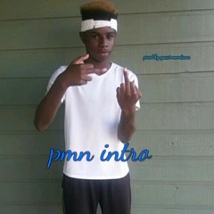 pmn intro