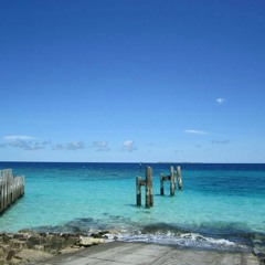 Berri - Am Gonna Fly