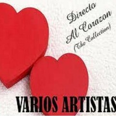 Como Un Pica Flor - Raul Santy