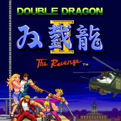 Double Dragon 2 - Streetwize