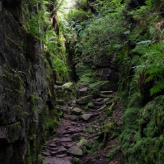 MESSAGES FROM THE DEEP TIME