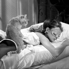 Wake up (Décembre 2016)