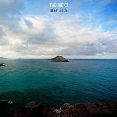 The Next - Walk In The Deep