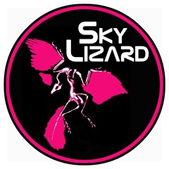 Sky Lizard - Crazy (Gnarls Barkley cover)(live)