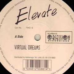 Vinylgroover - Virtual Dreams