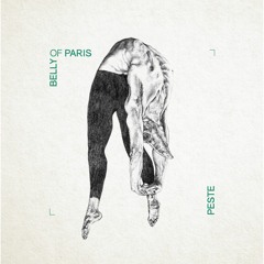 Macie Shot The Barn Owl