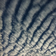 Kind of blues / collaboration with Pablo D. Martín Fontana