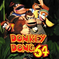 Does That Make Me Donkey?