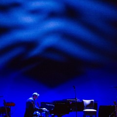 First Leafs Bounce Pcm 161104