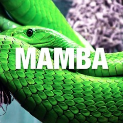 OTRAY - Mamba [Official Roblox Song]