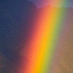 now with cowboys demo