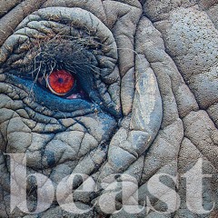 Boston Sessions Vol. 1:  Black Beach - 'No Place For Me'