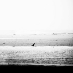 The Past Recedes (John Frusciante)