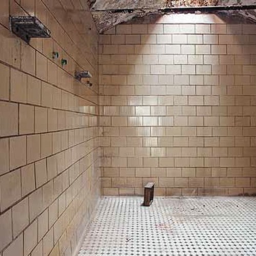 Shower Robber