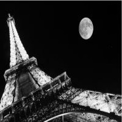 II Nights In Paris X OGT