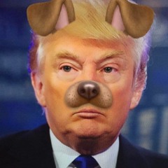 Cos I'm a dog (and you know it)