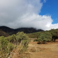 Release Delease Unlease Unleash(Burn the Words)(Alpha Version 1)