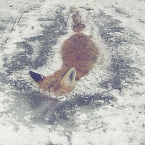 sᴍᴏᴋᴇ ᴛʀᴇᴇs x sᴠᴜᴍᴀᴛᴏ // ｓｈｒｏｏｏｏｍ