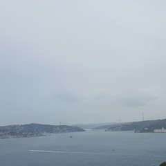 We are the people ukulele cover