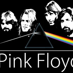 Pink Floyd - High Hopes ( Vocal Cover )