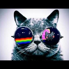 Electronica Dj Pumita