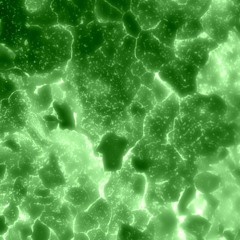 Nayawu - Pole (trams for hire remix)