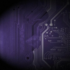 Aegis Systems - Venabili