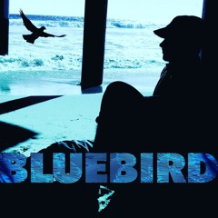 Bluebird (ft. Trip Carter)