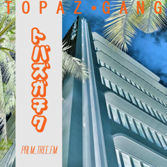TOPAZ GANG - palm_tree.fm