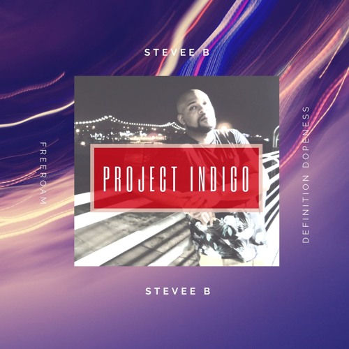 Stevee B- Lose My Mind 24 7 (Prod. By Stevee B)