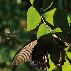 加納未樹 - Untitled (from "untitled / mushi" - BLOOM 015)