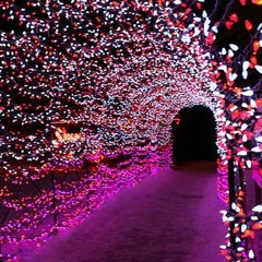 Starving - Hailee Steinfeld (Cover by Me, Diani & Hanif)