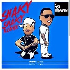 MIX SHAKY SHAKY - EDWIN DE LA CRUZ