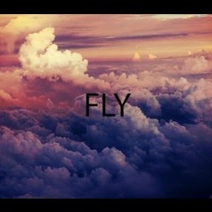 Avicii & Martin Garrix   Fly (ft. Justin Bieber)