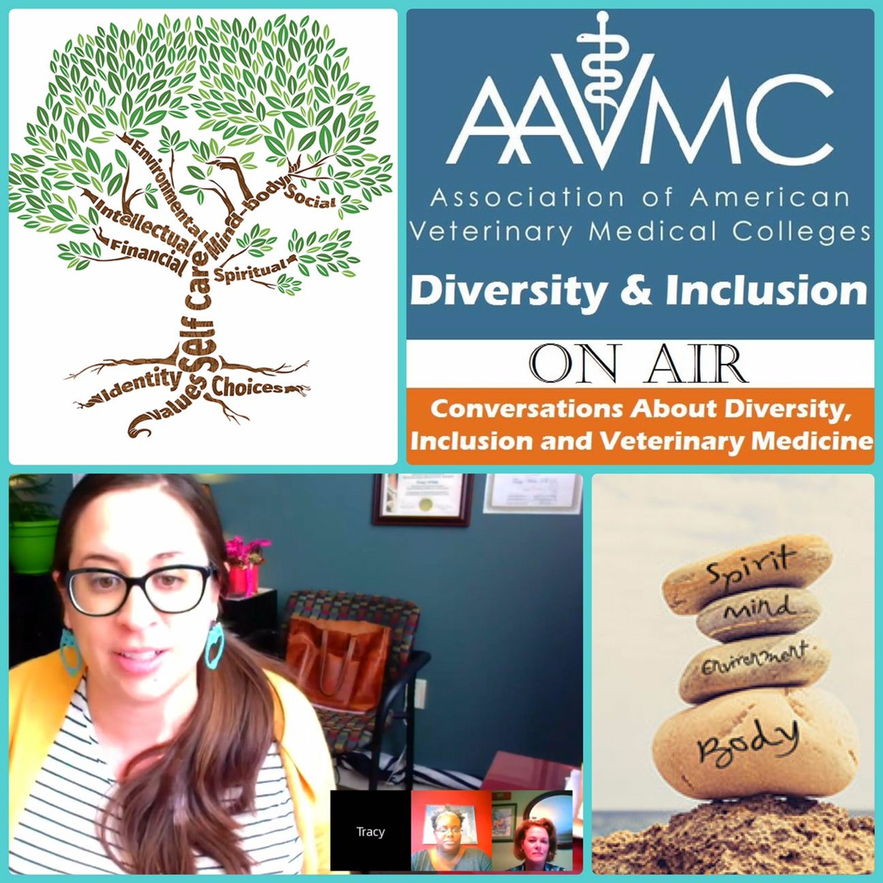 AAVMC\'s On Air: Conversations about Issues in Veterinary Medicine