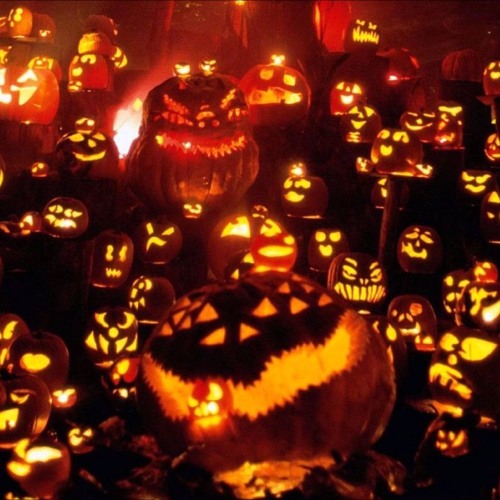 Lewy Halloween Set