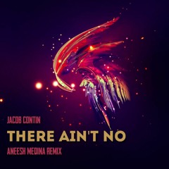 Jacob Contin - There Ain't No [Aneesh Medina Progressive Mix]