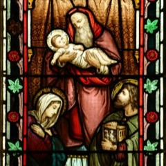 The stars shine bright