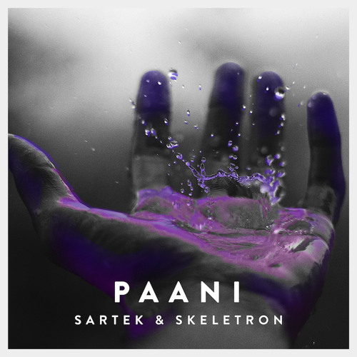 Sartek & Skeletron - Paani (Original Mix)