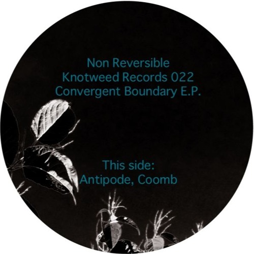 Non Reversible - Coomb
