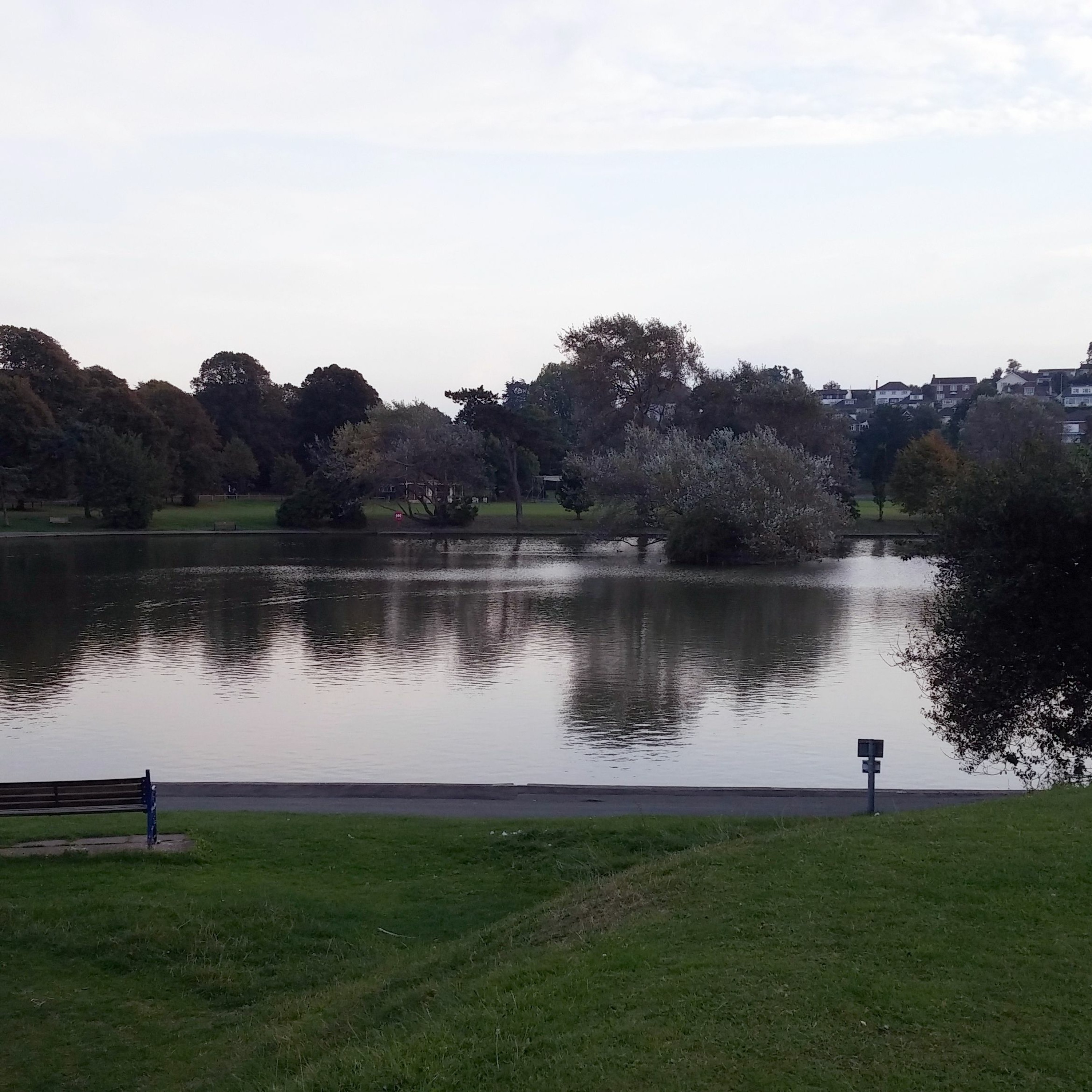 Portishead Lake Ambience 14th January 2016 16:42