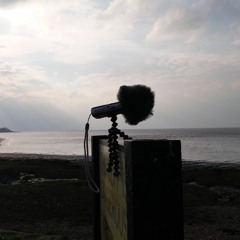 Portishead Waves Ambience 14th October 2016 16:19