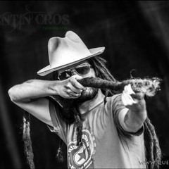 Alborosie - Police / Acidecore remix (Venox & LGN) ☣