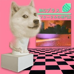 Raw - V On The Track - Macintosh Plus Sample Trap!! (Re - Upload)