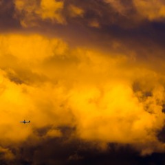 Invincible (Laura Wright instrumental cover)